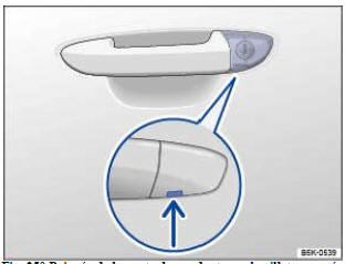 Fig. 250 Poignée de la porte du conducteur: barillet masqué